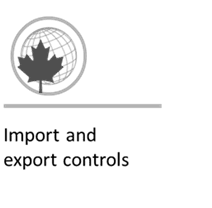 Illustration of nuclear regulation in Canada, featuring a government building and nuclear symbols, emphasizing nuclear energy oversight and safety management.
